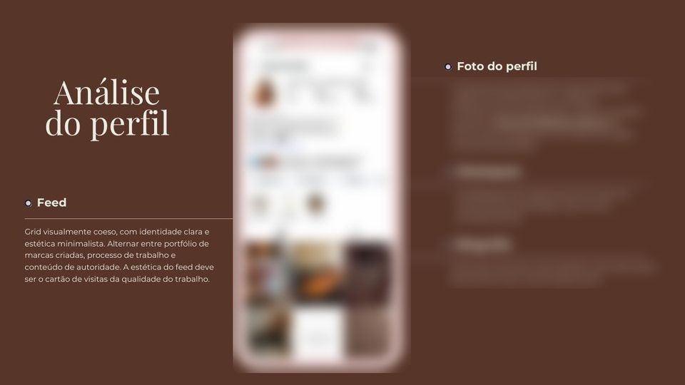 Página de análise do perfil, com o print do Instagram do cliente desfocado.